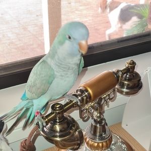 Meet your Posher, Barbara